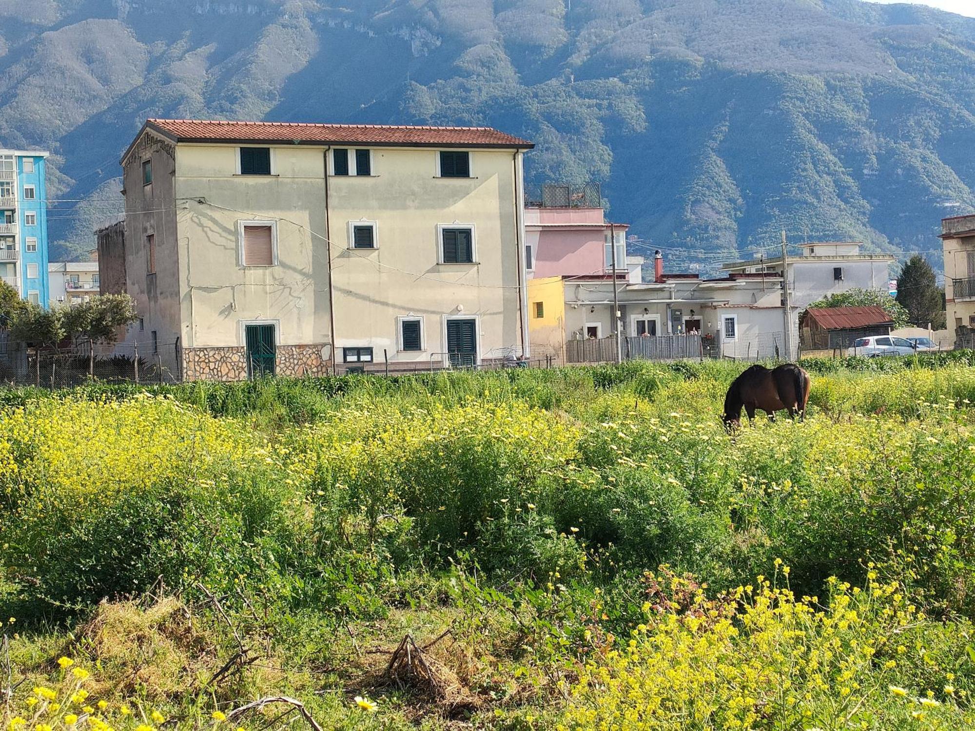 Appartamento Lilla Housing Castellammare di Stabia Esterno foto